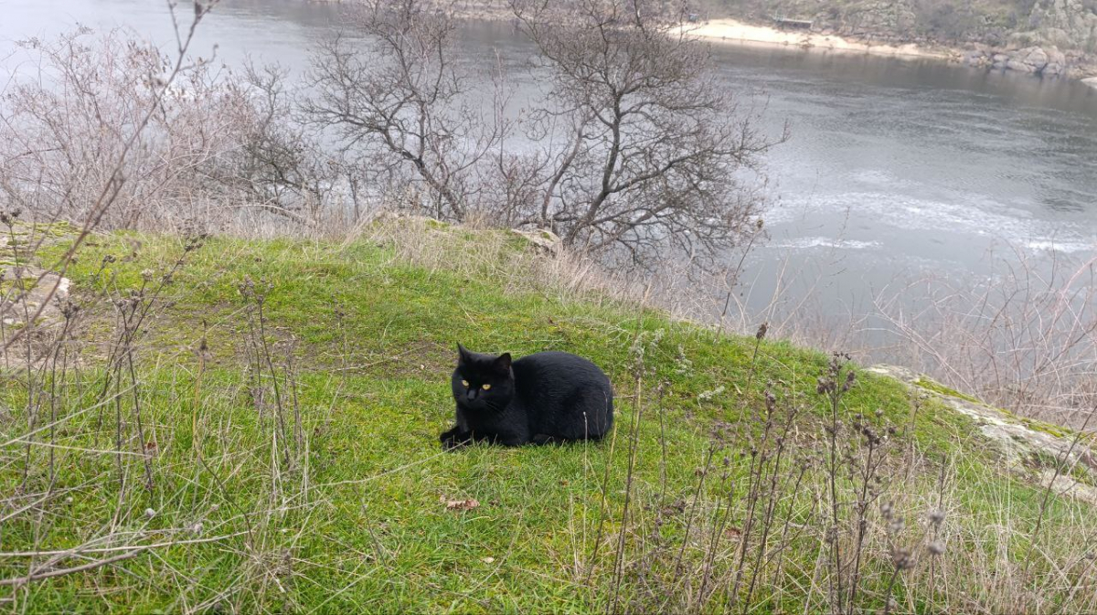 Прогноз на п'ятницю 13-те: до якої погоди готуватись запоріжцям наприкінці робочого тижня