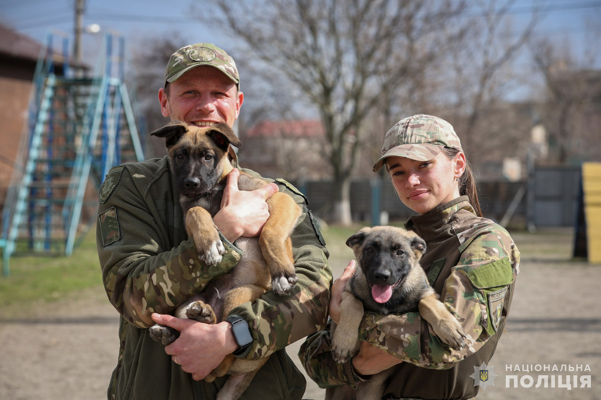 Запорізький кінологічний підрозділ поповнився чотирма хвостатими новобранцями (фото)