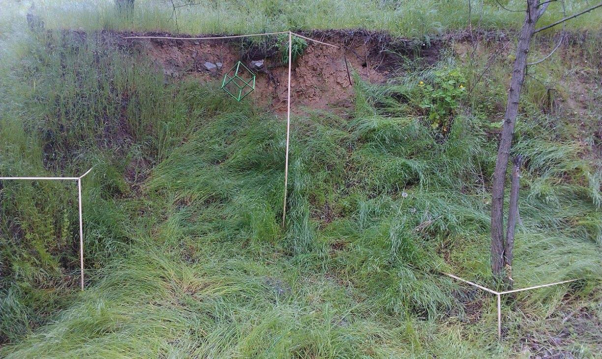 Дев'ять років тому урочище Сагайдачного у Запоріжжі виглядало дуже незвичайно - фото