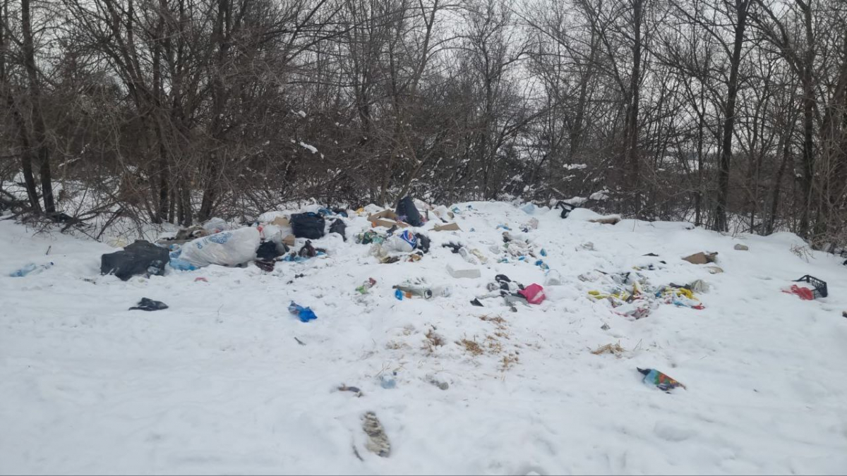 Прибрати до весни: у Запорізькій області екологи натрапили на звалище сміття