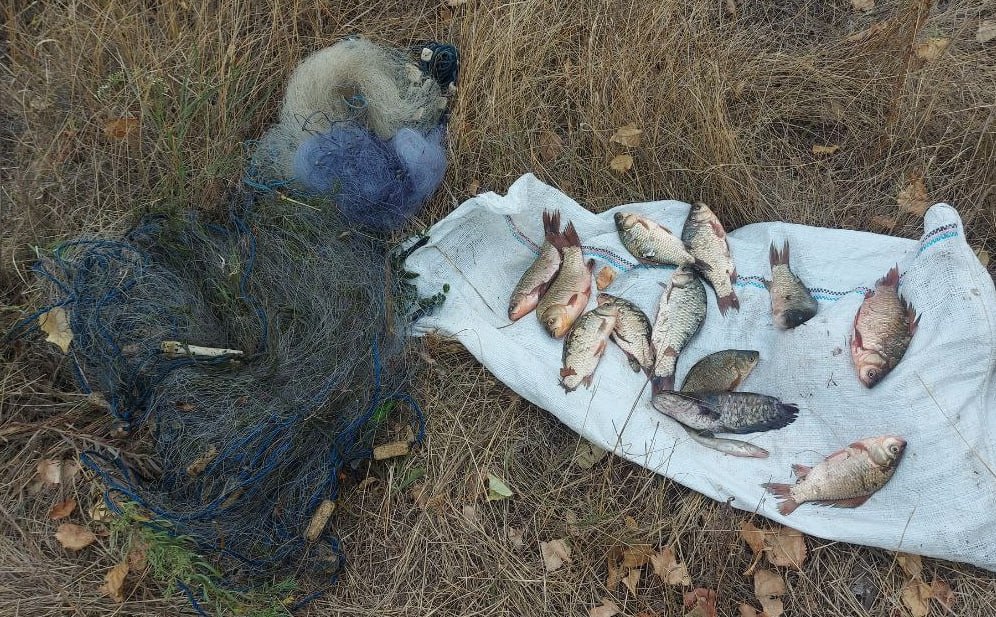 Наловив риби на 25 тисяч - на Дніпровському водосховищі затримали браконьєра (фото)