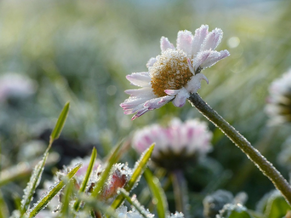 Заморозки та грози насуваються — якою буде погода у Запоріжжі наприкінці робочого тижня