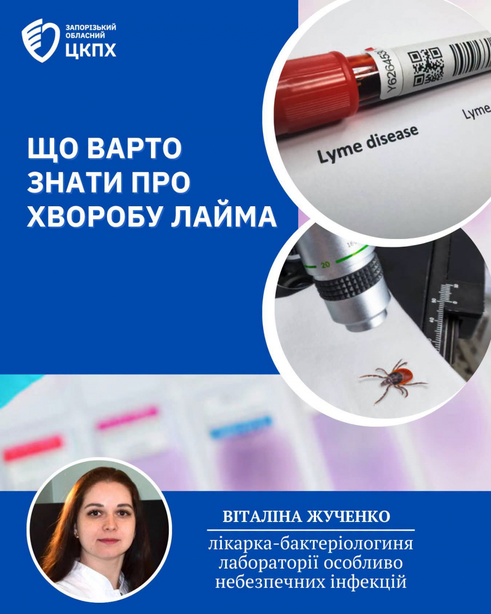 У Запоріжжі зафіксували п'ять випадків хвороби Лайма: чим небезпечні укуси кліщів