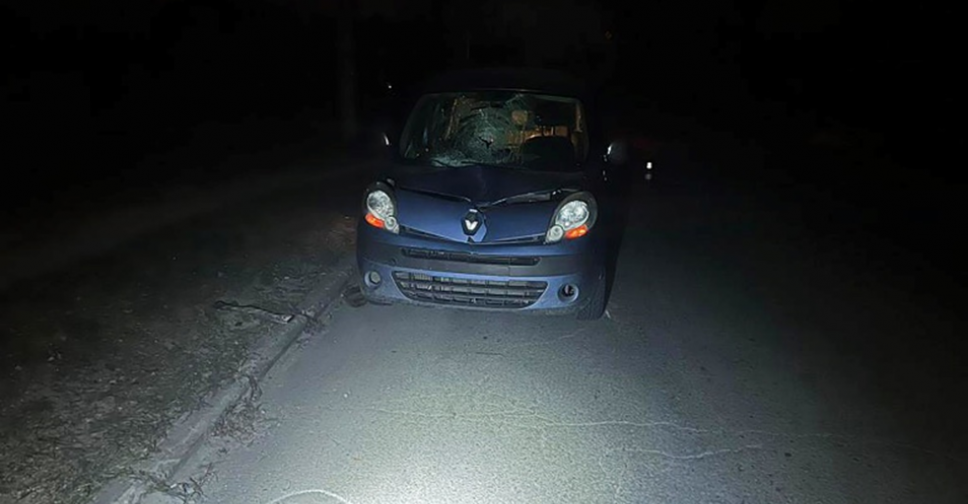 У Запоріжжі водій на іномарці збив пішоходку, яка переходила дорогу при поганому освітленні