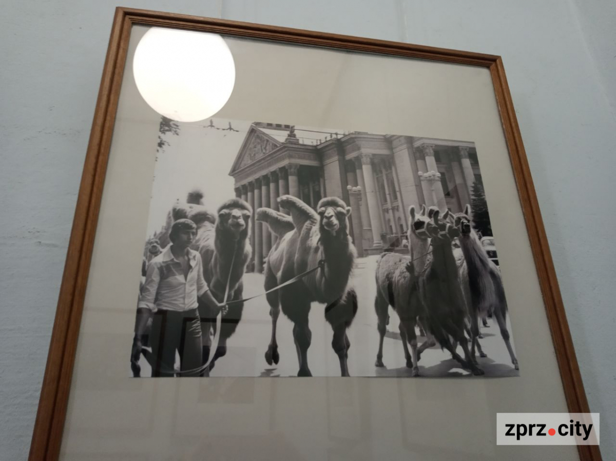 У день народження відомий фотохудожник показав у Запоріжжі рідкісні світлини - виставка, яку не можна пропустити