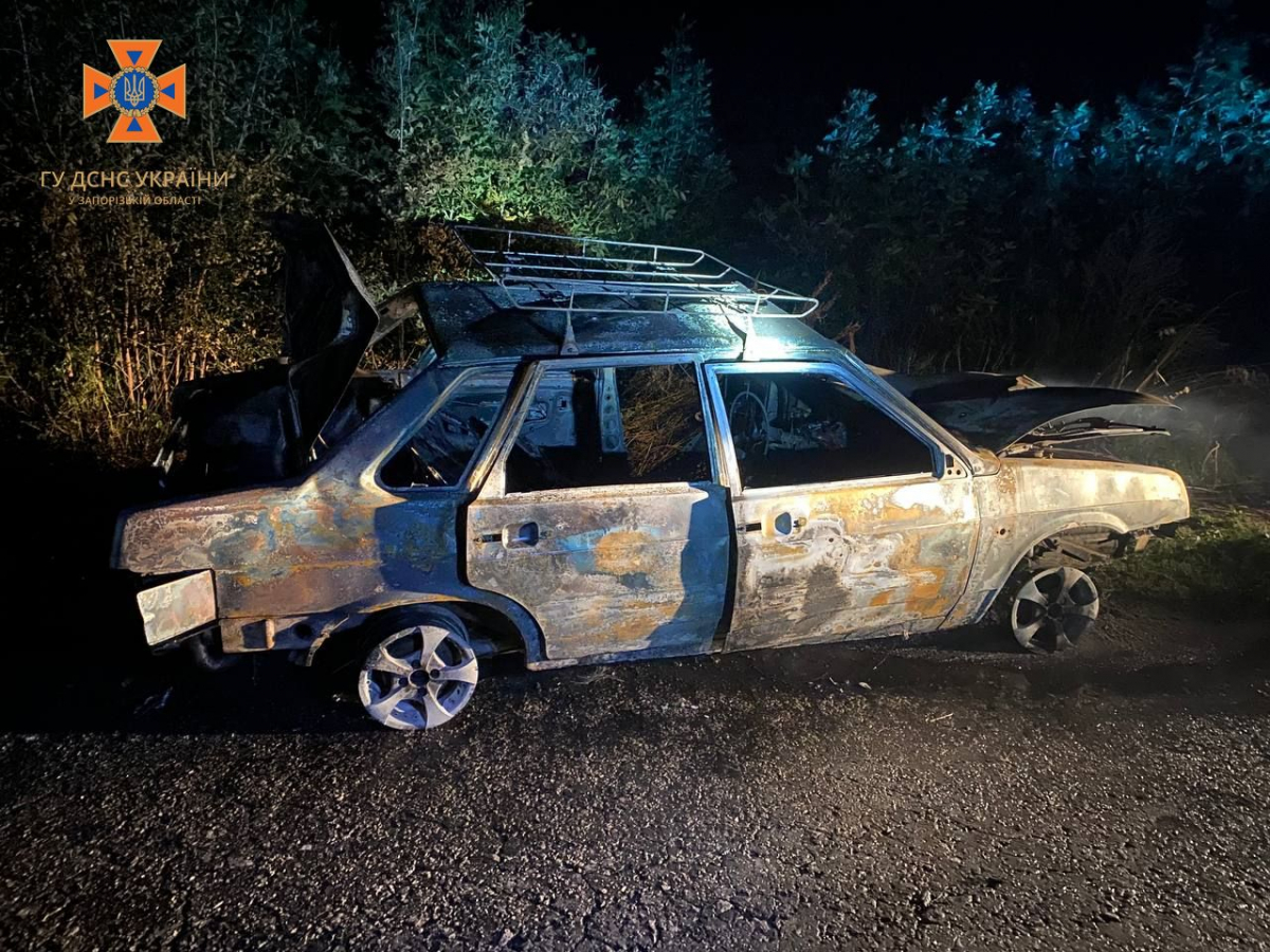 У Запорізькому районі автомобіль збив корову й загорівся - подробиці