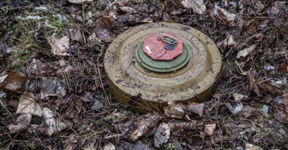 У Запорізької області виявили протипіхотну міну та снаряд від російського "Града"