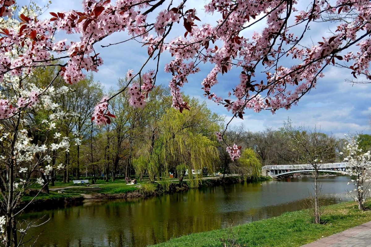 Тепло, без дощів — якою буде погода у Запоріжжі 16 та 17 квітня