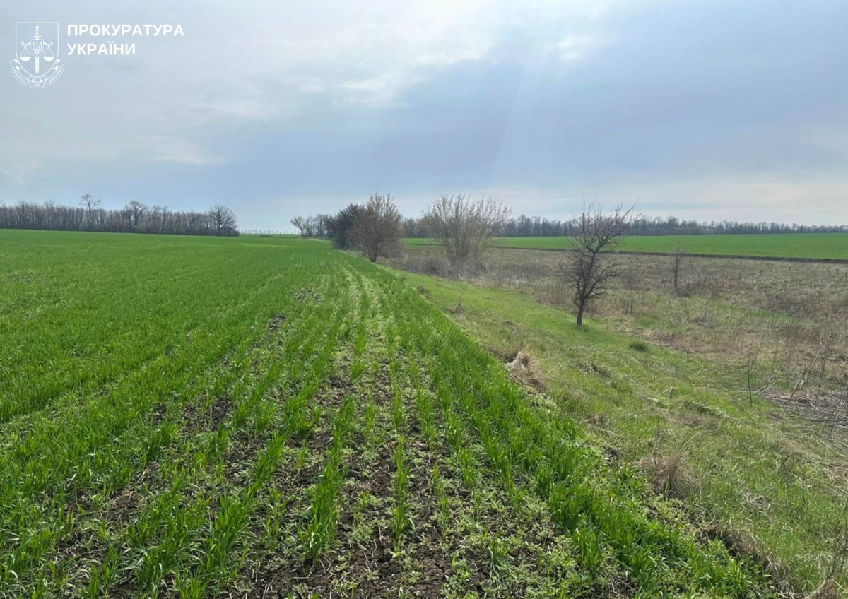 Розорали заповідну землю: 27 гектарів "Балки Ручаєвської" повернуть громаді