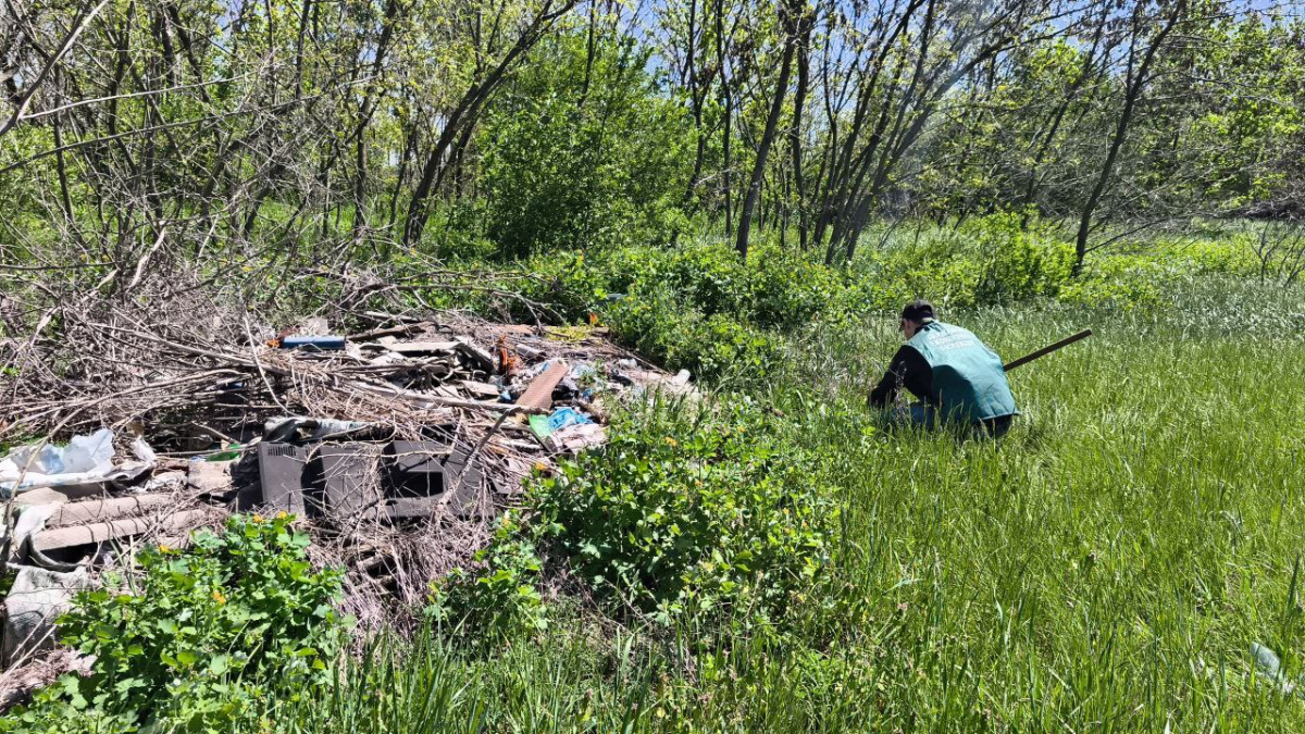 Скидали непотріб мішками - у Запорізькій області біля села "розрослися" смітники (фото)