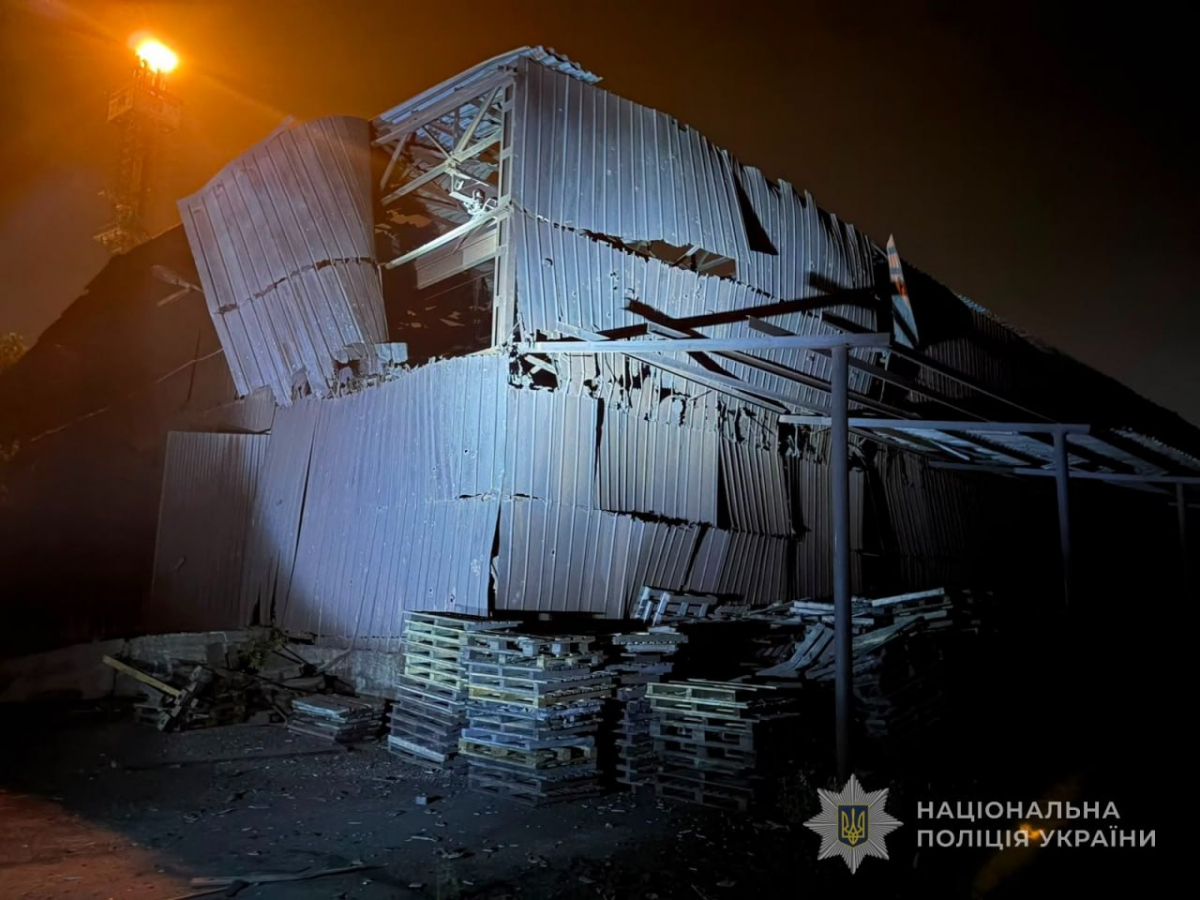 FPV-дрони над Запоріжжям: військовий пояснив, чому атак стало більше (відео)