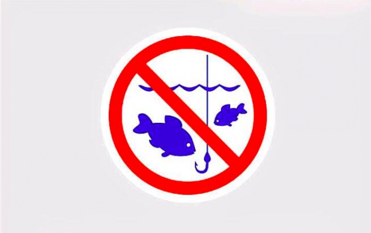 У Запоріжжі та області стартувала заборона на вилов риби у зимувальних ямах - скільки прийдеться заплатити порушникам