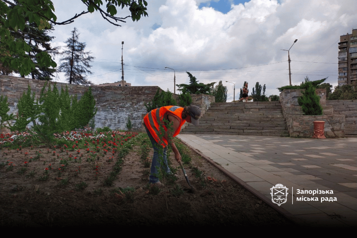 Головний парк Запоріжжя зустрічає відвідувачів доглянутими клумбами з красивими квітами - фото