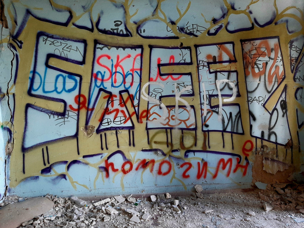 Як у стильному фільмі жахів - художники розписали руїни колишнього інституту на Хортиці (фото)