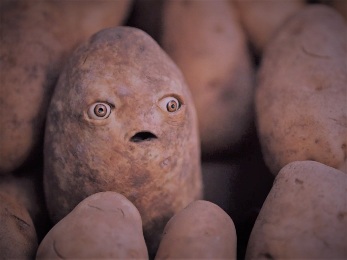 Найдорожча за всю історію - у Запоріжжі зросли ціни на картоплю