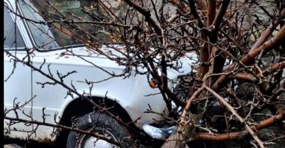 У Запоріжжі п’яний водій на легковому авто врізався в дерево