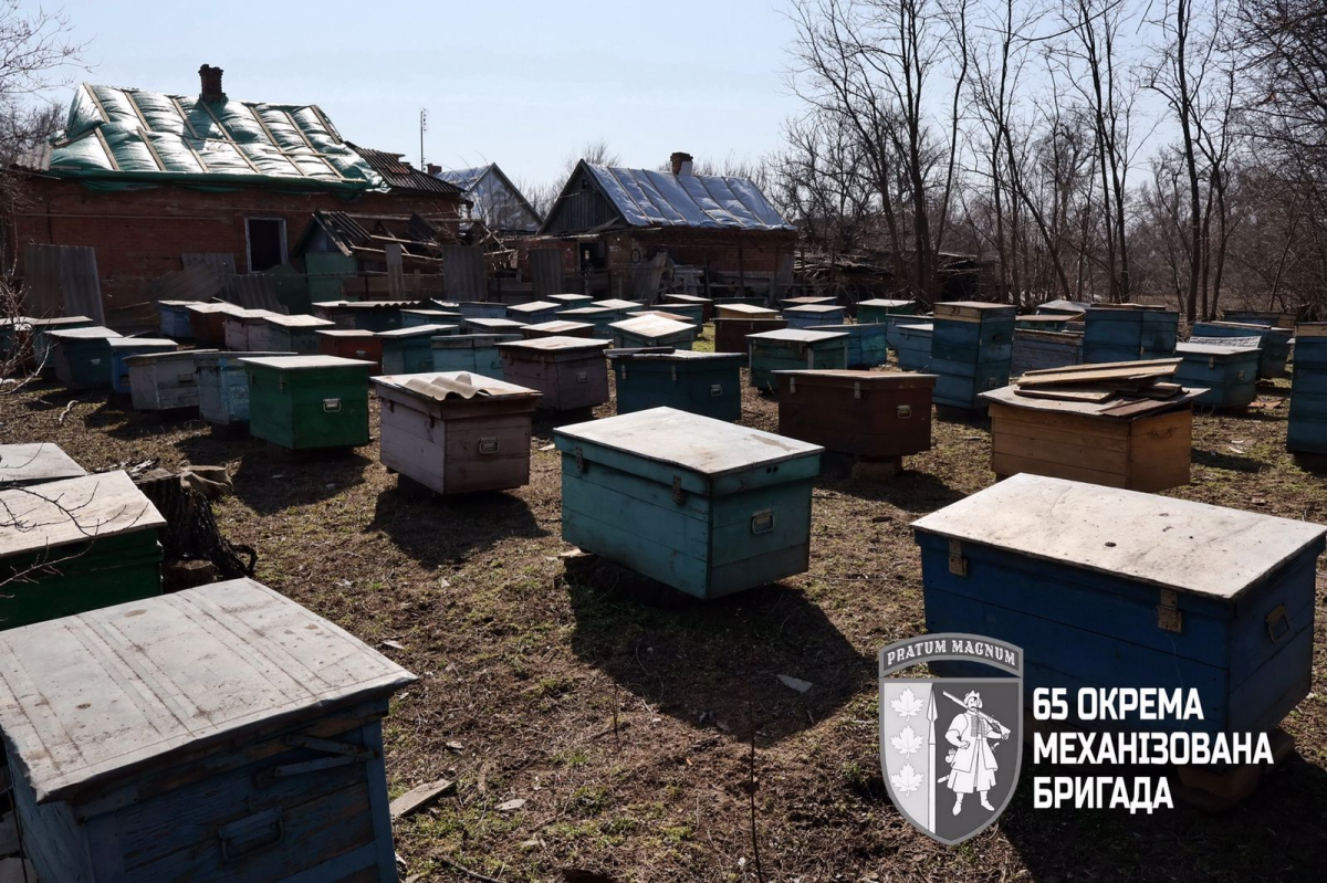 Собаки все ще чекають повернення господарів: як виглядає село Запорізького району у кіл-зоні (фото)