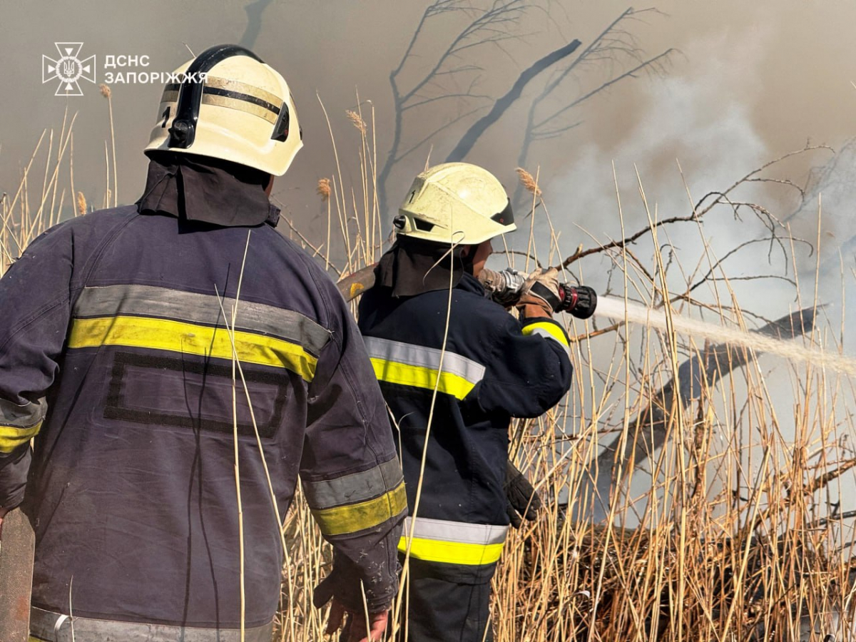 Запорізькі рятувальники показали, як гасили пожежу у плавнях - відео, фото
