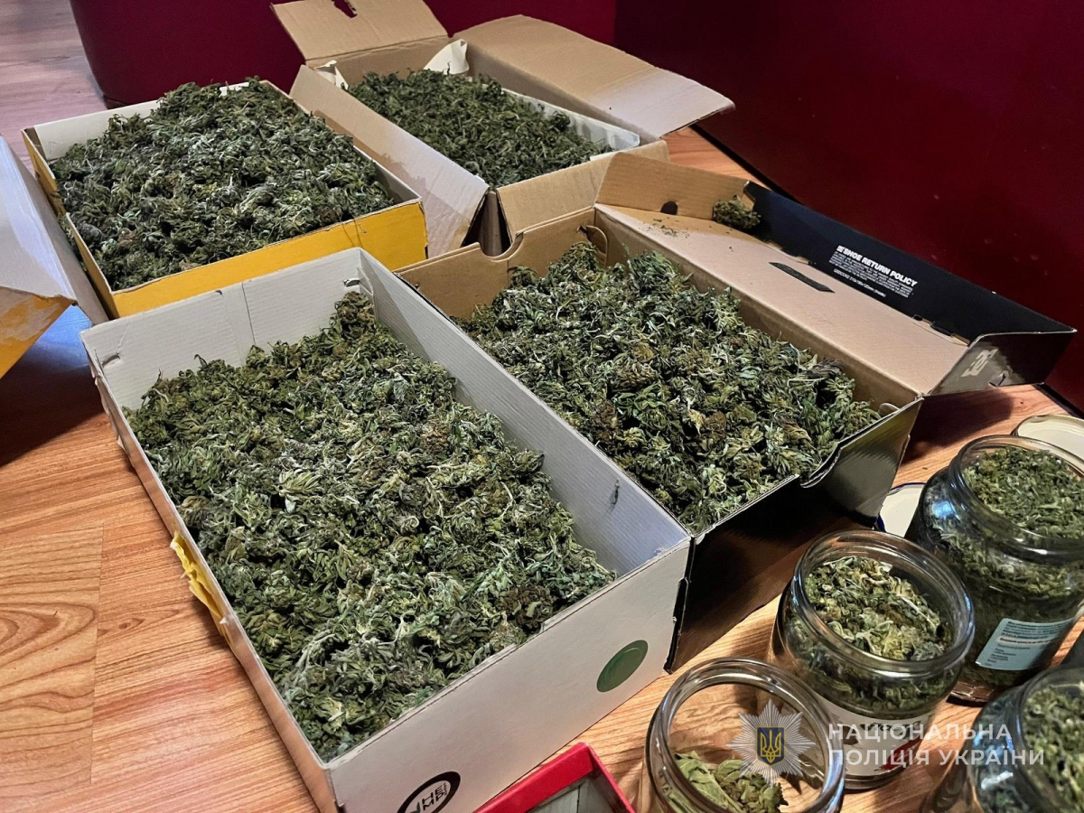 Заробляв мільйони: у Запоріжжі пенсіонер вирощував "елітний канабіс" (фото)
