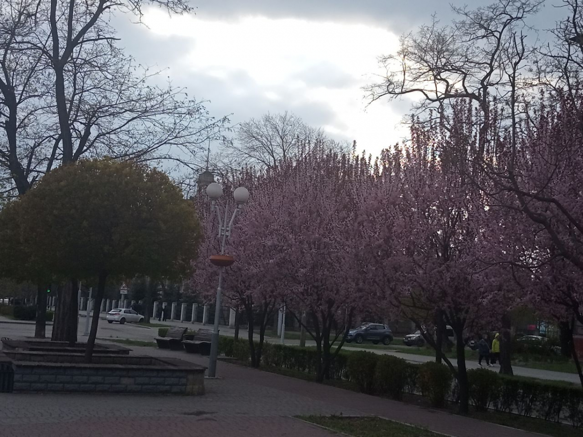 Яка погода буде у Запоріжжі після Великодня: прогноз на початок робочого тижня