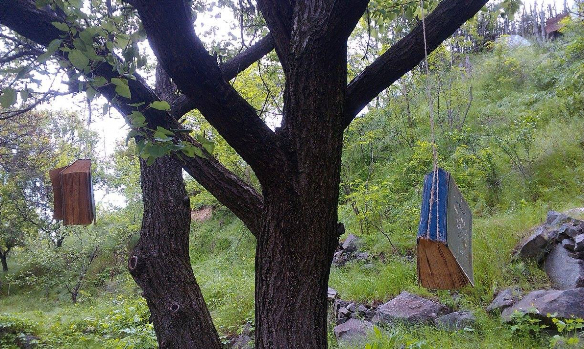 Дев'ять років тому урочище Сагайдачного у Запоріжжі виглядало дуже незвичайно - фото