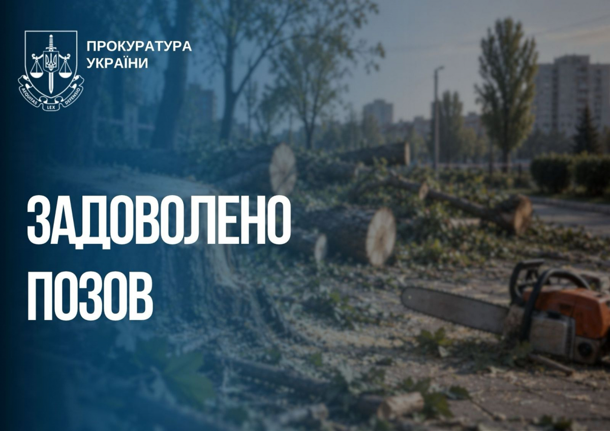 Збитки на шість мільйонів гривень: на Запоріжжі незаконно зрубали понад 1200 дерев