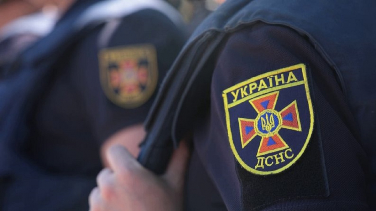 У Запорізькому районі легковик в'їхав у дерево — постраждала водійка (фото)