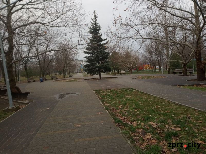 Як виглядає головний парк спального району Запоріжжя у перший місяць зими - фото