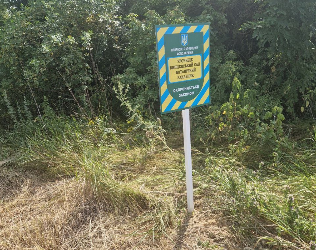 Луки під загрозою - в заповідній зоні під Запоріжжям влаштували незаконну заготівлю сіна (фото)