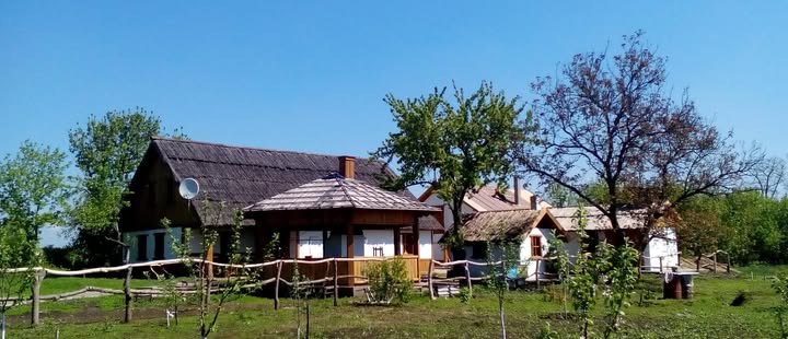 Квізи, що лікують як у Запоріжжі допомагають ветеранам повернути радість життя