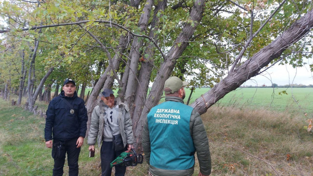 Знищив два дуби - у Кушугумі затримали браконьєра