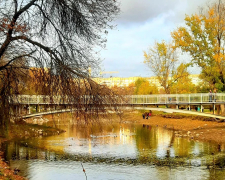 Імена для лебедів – як у Запоріжжі тепер зватимуть пернату парочку (відео)