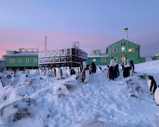 У Запоріжжі відбудеться зустріч з полярником та відкриють виставку про Антарктику