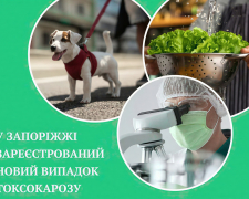 У Запоріжжі цього року вже зафіксували п'ять випадків токсокарозу