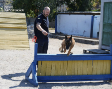 Кінологічний розрахунок ДСНС Запоріжжя щодня тренує вівчарок Ноту та Мілу. Собаки мають різні спеціалізації — пошук живих і загиблих