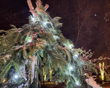 Морози, сніг і ожеледиця - якою буде погода в Запоріжжі в останні вихідні грудня