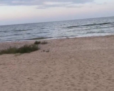 Як виглядають пляж на косі, ринок та бази відпочинку окупованої Кирилівки - відео