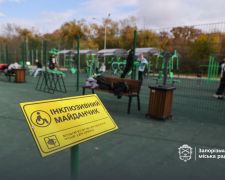 Інклюзивне Запоріжжя -  у місті вже три нові майданчики для всіх