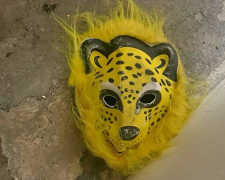 &quot;Вполювали&quot; звіра: у Запоріжжі спіймали жорстокого грабіжника у масці леопарда