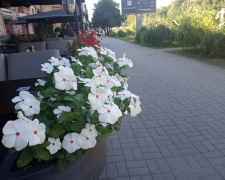 Запоріжжя