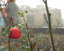 Виїхало понад тисячу мешканців - як виглядає селище у Запорізькому районі, що за 12 км від фронту