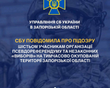 Шість "помічників окупантів" у Запорізькій області отримали підозри за фейковий референдум
