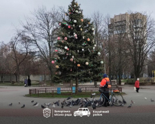 Вандалізм у парку - невідомі вкрали іграшки з ялинки в Запоріжжі