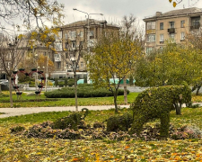 Тепло у листопаді – в Запоріжжі показники температури перевищили історичні рекорди