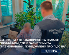 Чотирьом водіям у Запорізькій області оголосили підозри через смертельні ДТП