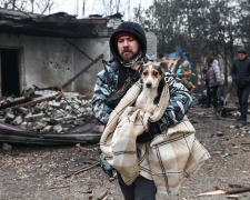 "Тварини не заслуговують бути вбитим" - ситуація у запорізькому притулку для тварин, зруйнованому ворожим дроном