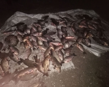 У Запорізькому районі браконьєри наловили риби за два дні на 300 тисяч гривень