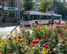 У Запоріжжі частина тролейбусів тимчасово курсуватиме по змінених маршрутах - подробиці