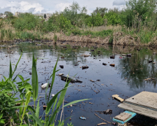 У Запоріжжі річку перетворили на суцільний жах - вкрита товстим шаром нафтопродуктів (фото, відео)
