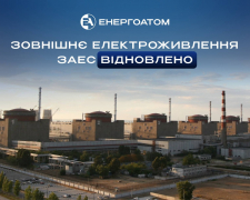 20-й бдекайт на ЗАЕС. Фото: Енергоатом